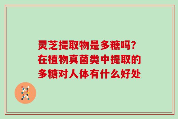 灵芝提取物是多糖吗？在植物真菌类中提取的多糖对人体有什么好处