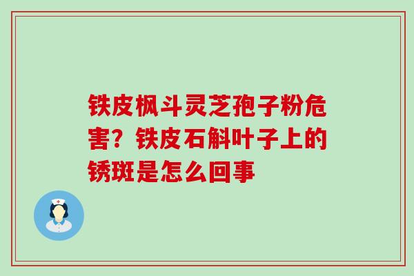 铁皮枫斗灵芝孢子粉危害？铁皮石斛叶子上的锈斑是怎么回事