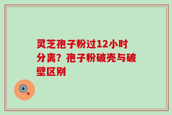 灵芝孢子粉过12小时分离？孢子粉破壳与破壁区别