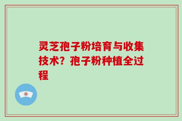 灵芝孢子粉培育与收集技术？孢子粉种植全过程