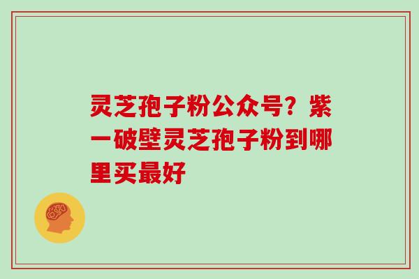 灵芝孢子粉公众号？紫一破壁灵芝孢子粉到哪里买好