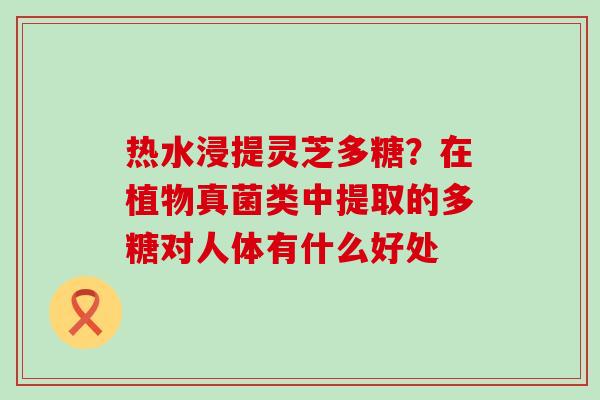 热水浸提灵芝多糖？在植物真菌类中提取的多糖对人体有什么好处