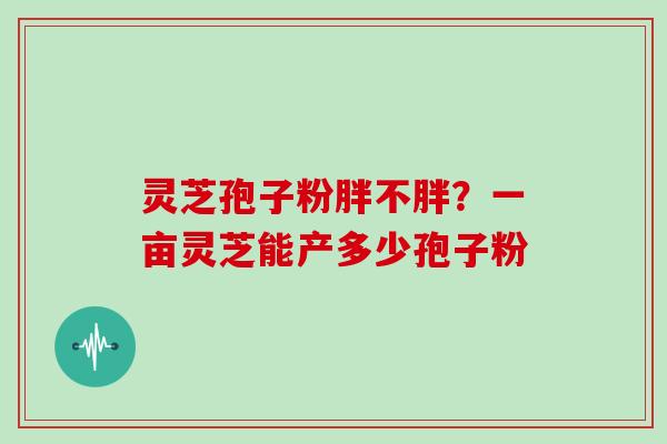 灵芝孢子粉胖不胖？一亩灵芝能产多少孢子粉