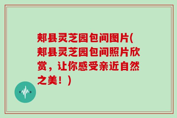 郏县灵芝园包间图片(郏县灵芝园包间照片欣赏，让你感受亲近自然之美！)