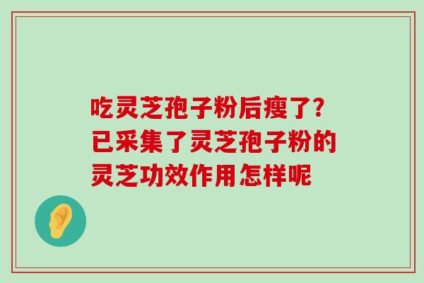 吃灵芝孢子粉后瘦了？已采集了灵芝孢子粉的灵芝功效作用怎样呢