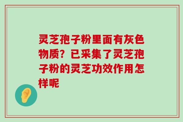 灵芝孢子粉里面有灰色物质？已采集了灵芝孢子粉的灵芝功效作用怎样呢