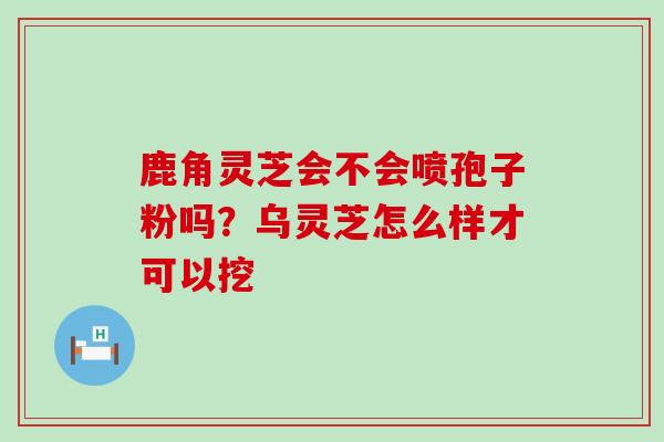 鹿角灵芝会不会喷孢子粉吗？乌灵芝怎么样才可以挖