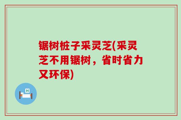 锯树桩子采灵芝(采灵芝不用锯树，省时省力又环保)