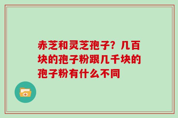 赤芝和灵芝孢子？几百块的孢子粉跟几千块的孢子粉有什么不同