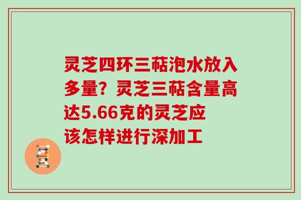 灵芝四环三萜泡水放入多量？灵芝三萜含量高达5.66克的灵芝应该怎样进行深加工