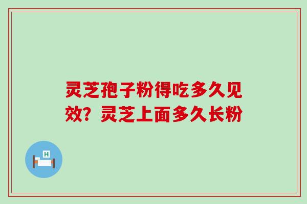 灵芝孢子粉得吃多久见效？灵芝上面多久长粉