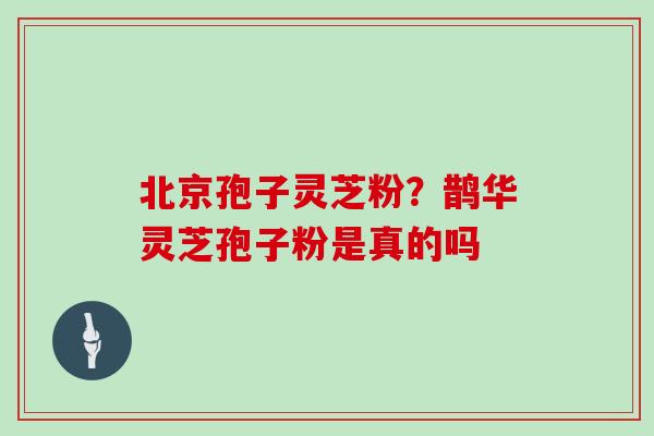 北京孢子灵芝粉？鹊华灵芝孢子粉是真的吗