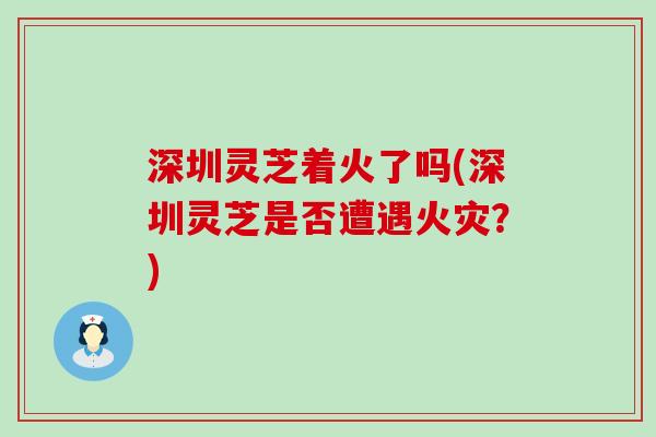 深圳灵芝着火了吗(深圳灵芝是否遭遇火灾？)