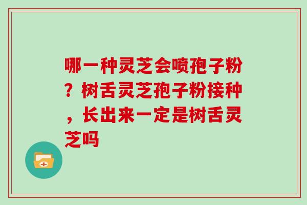 哪一种灵芝会喷孢子粉？树舌灵芝孢子粉接种，长出来一定是树舌灵芝吗