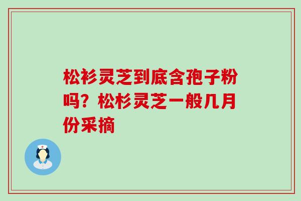 松衫灵芝到底含孢子粉吗？松杉灵芝一般几月份采摘