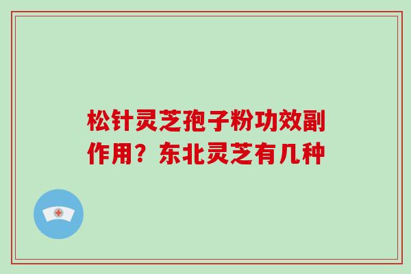 松针灵芝孢子粉功效副作用？东北灵芝有几种