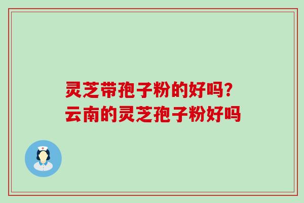 灵芝带孢子粉的好吗？云南的灵芝孢子粉好吗