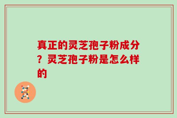 真正的灵芝孢子粉成分？灵芝孢子粉是怎么样的