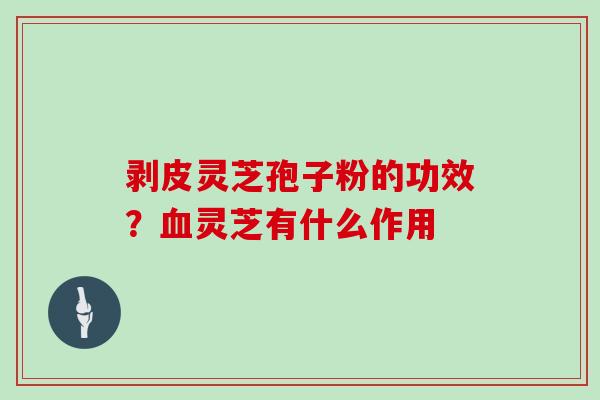 剥皮灵芝孢子粉的功效？灵芝有什么作用