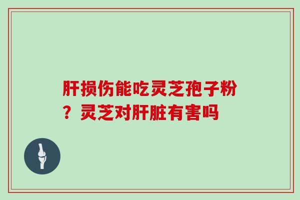 损伤能吃灵芝孢子粉？灵芝对有害吗