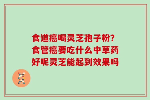 食道喝灵芝孢子粉？食管要吃什么中草药好呢灵芝能起到效果吗