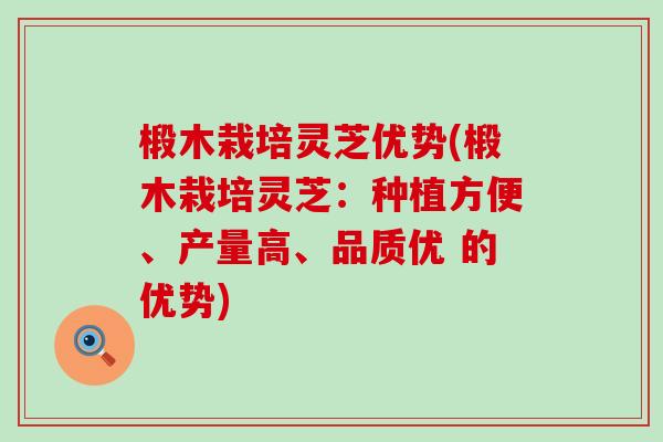 椴木栽培灵芝优势(椴木栽培灵芝：种植方便、产量高、品质优 的优势)