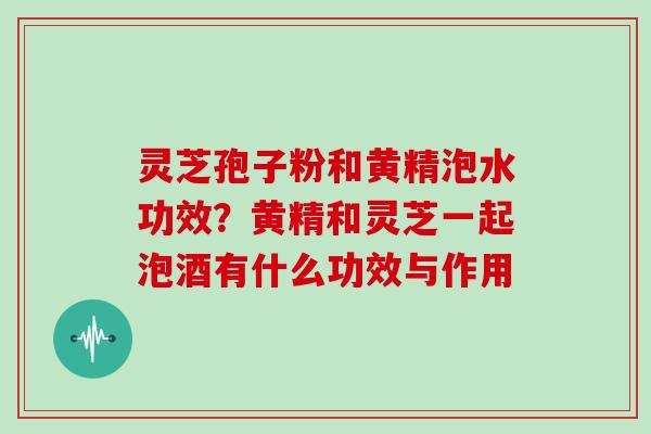 灵芝孢子粉和黄精泡水功效？黄精和灵芝一起泡酒有什么功效与作用