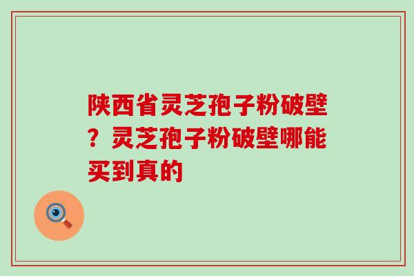 陕西省灵芝孢子粉破壁？灵芝孢子粉破壁哪能买到真的