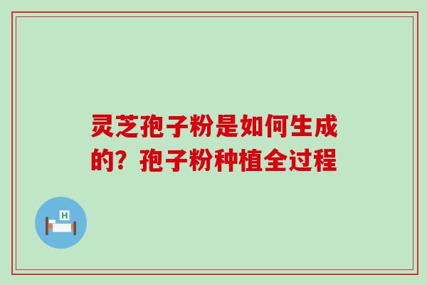 灵芝孢子粉是如何生成的？孢子粉种植全过程