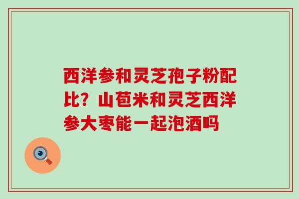 西洋参和灵芝孢子粉配比？山苞米和灵芝西洋参大枣能一起泡酒吗