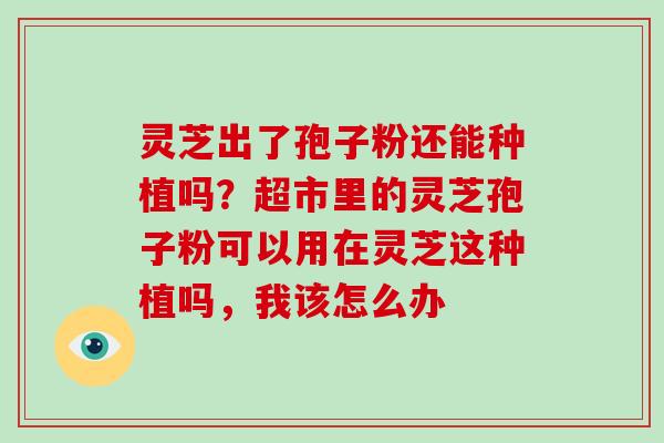 灵芝出了孢子粉还能种植吗？超市里的灵芝孢子粉可以用在灵芝这种植吗，我该怎么办