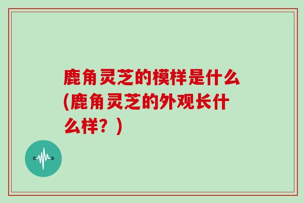 鹿角灵芝的模样是什么(鹿角灵芝的外观长什么样？)