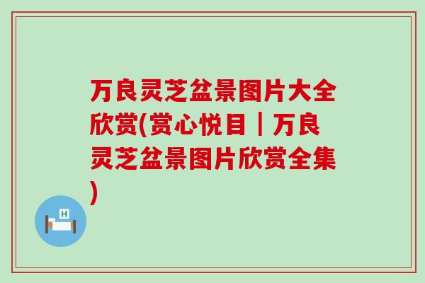 万良灵芝盆景图片大全欣赏(赏心悦目｜万良灵芝盆景图片欣赏全集)