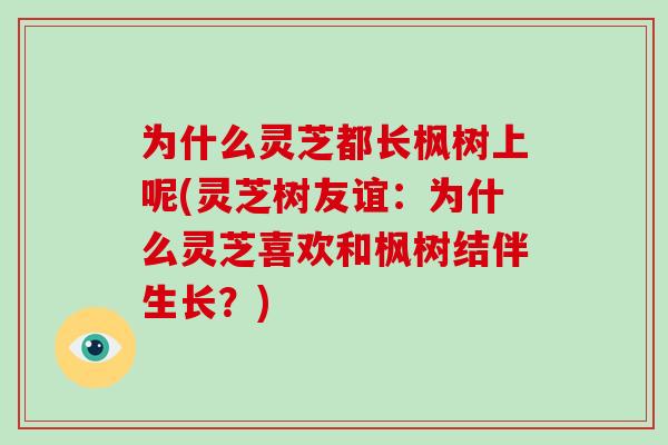 为什么灵芝都长枫树上呢(灵芝树友谊：为什么灵芝喜欢和枫树结伴生长？)