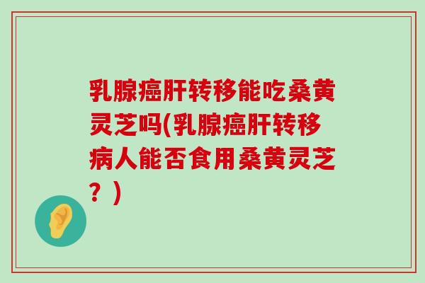 乳腺转移能吃桑黄灵芝吗(乳腺转移人能否食用桑黄灵芝？)