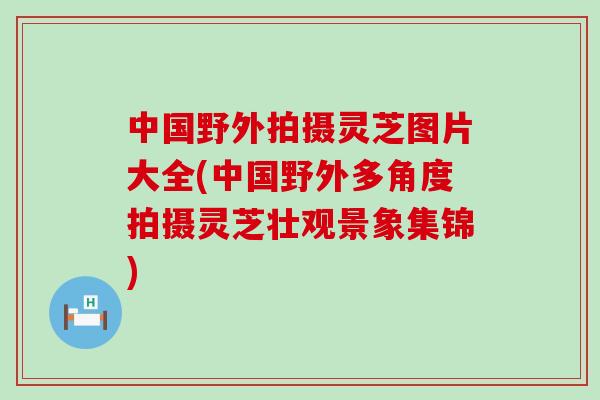 中国野外拍摄灵芝图片大全(中国野外多角度拍摄灵芝壮观景象集锦)