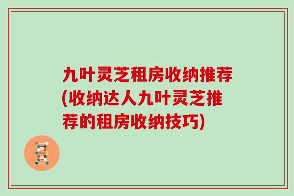 九叶灵芝租房收纳推荐(收纳达人九叶灵芝推荐的租房收纳技巧)