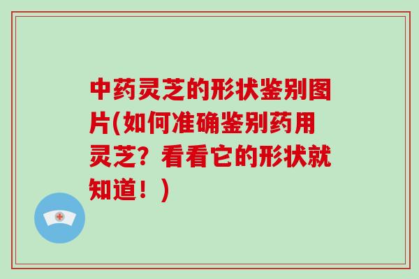 灵芝的形状鉴别图片(如何准确鉴别药用灵芝？看看它的形状就知道！)