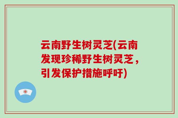 云南野生树灵芝(云南发现珍稀野生树灵芝，引发保护措施呼吁)