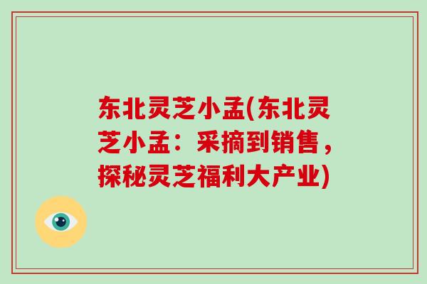 东北灵芝小孟(东北灵芝小孟：采摘到销售，探秘灵芝福利大产业)