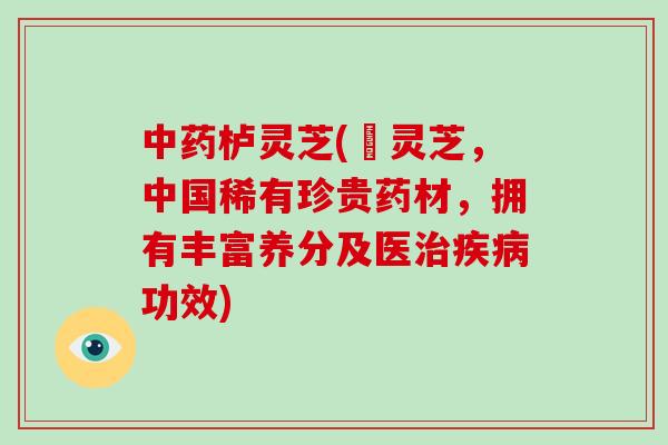 栌灵芝(荌灵芝，中国稀有珍贵药材，拥有丰富养分及医功效)