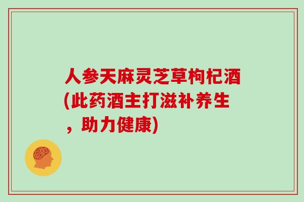 人参天麻灵芝草枸杞酒(此药酒主打滋补养生，助力健康)