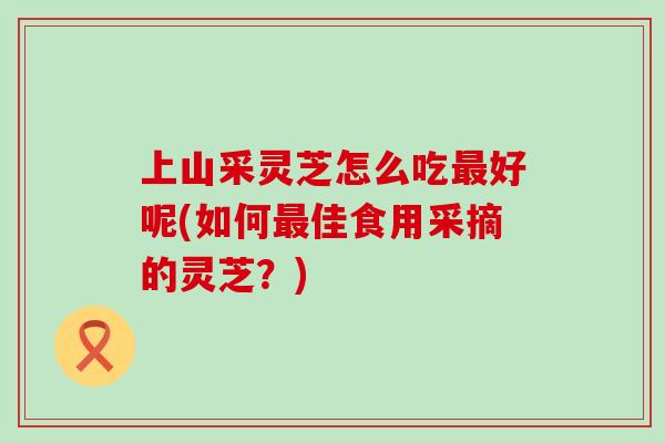 上山采灵芝怎么吃好呢(如何佳食用采摘的灵芝？)