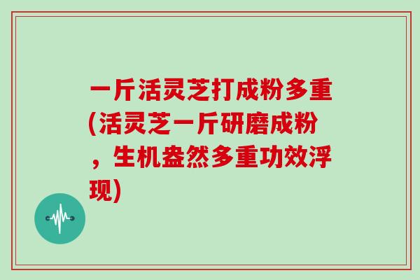 一斤活灵芝打成粉多重(活灵芝一斤研磨成粉，生机盎然多重功效浮现)