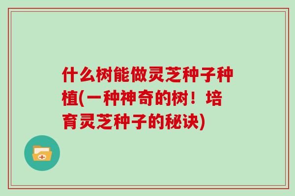 什么树能做灵芝种子种植(一种神奇的树！培育灵芝种子的秘诀)