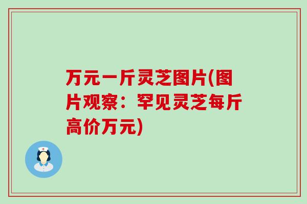 万元一斤灵芝图片(图片观察：罕见灵芝每斤高价万元)