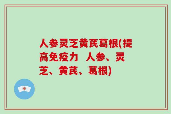 人参灵芝黄芪葛根(提高免疫力  人参、灵芝、黄芪、葛根)