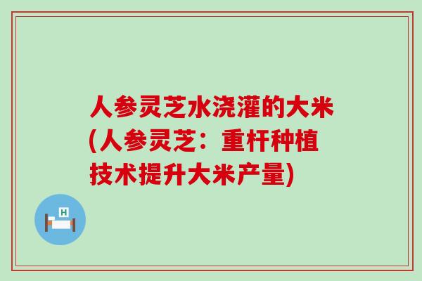 人参灵芝水浇灌的大米(人参灵芝：重杆种植技术提升大米产量)