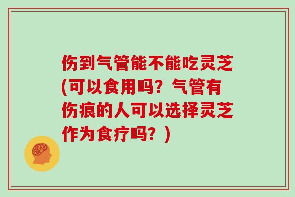 伤到气管能不能吃灵芝(可以食用吗？气管有伤痕的人可以选择灵芝作为食疗吗？)