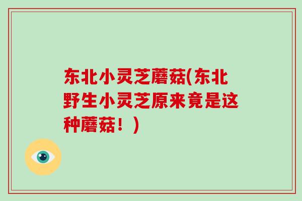 东北小灵芝蘑菇(东北野生小灵芝原来竟是这种蘑菇！)